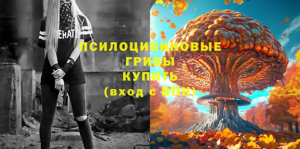 винт Абаза