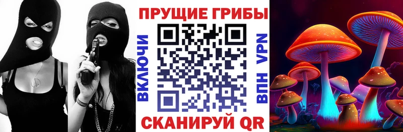 наркота  Тетюши  Псилоцибиновые грибы Psilocybe 